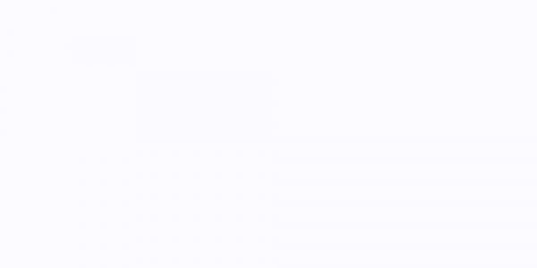 White Wedding Garters 112