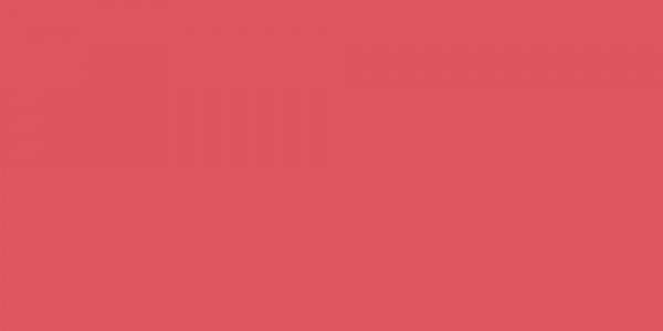 Watermelon Wedding Garters 243