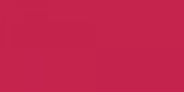 Beauty Wedding Garters 266