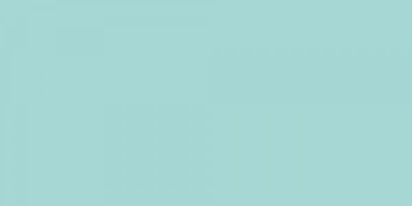 Aqua Wedding Garters 314