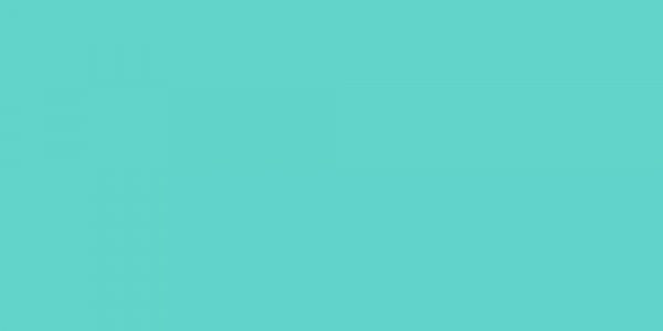 Tropic Wedding Garters 323