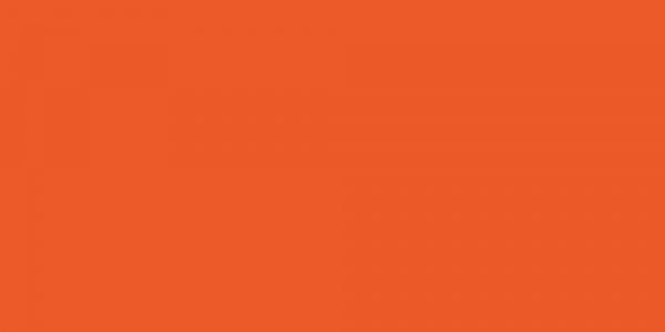 Torrid Orange Wedding Garters 749