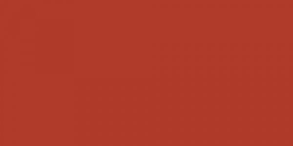 Mandarin Orange Wedding Garters 765