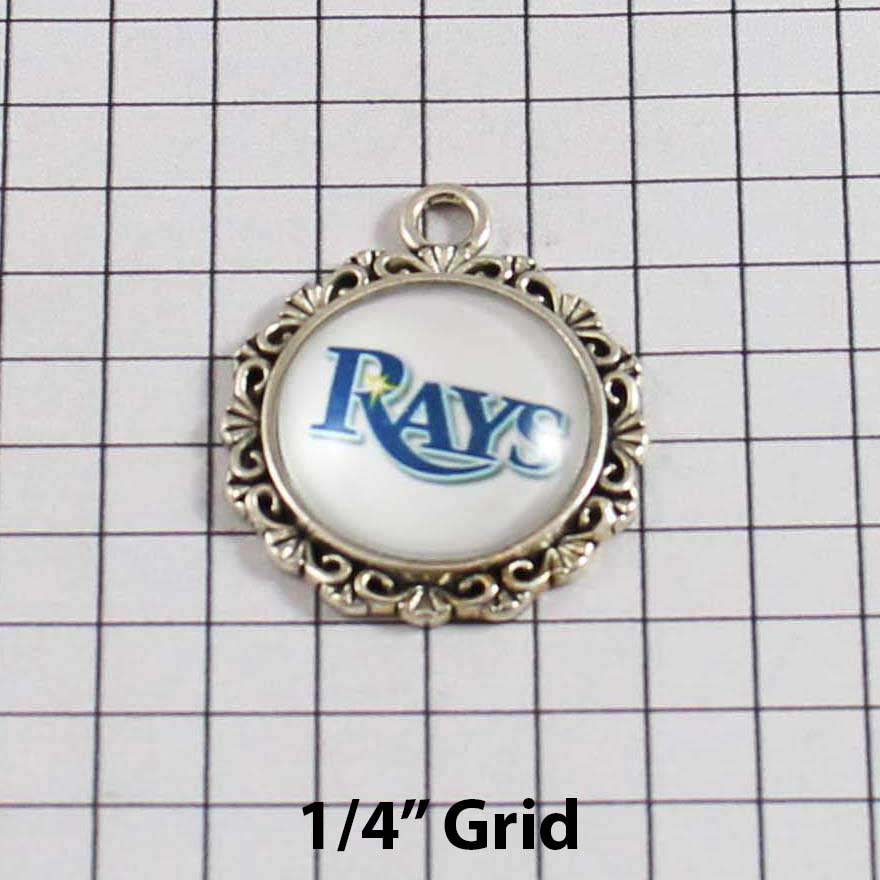 Tampa Bay Devil Rays Wedding Garter MLB - Charm-543 / Wedding Garters / Bridal Garter / Prom Garter / Linda Joyce Couture