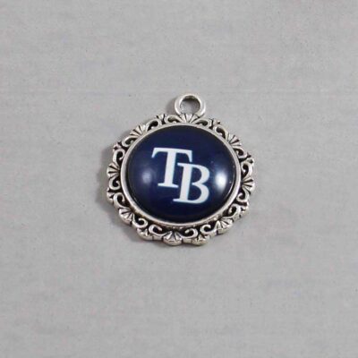 Tampa Bay Devil Rays Wedding Garter / MLB / Baseball - Charm-549 / Wedding Garters / Bridal Garter / Prom Garter / Linda Joyce Couture