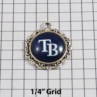 Tampa Bay Devil Rays Wedding Garter / MLB / Baseball - Charm-549 / Wedding Garters / Bridal Garter / Prom Garter / Linda Joyce Couture